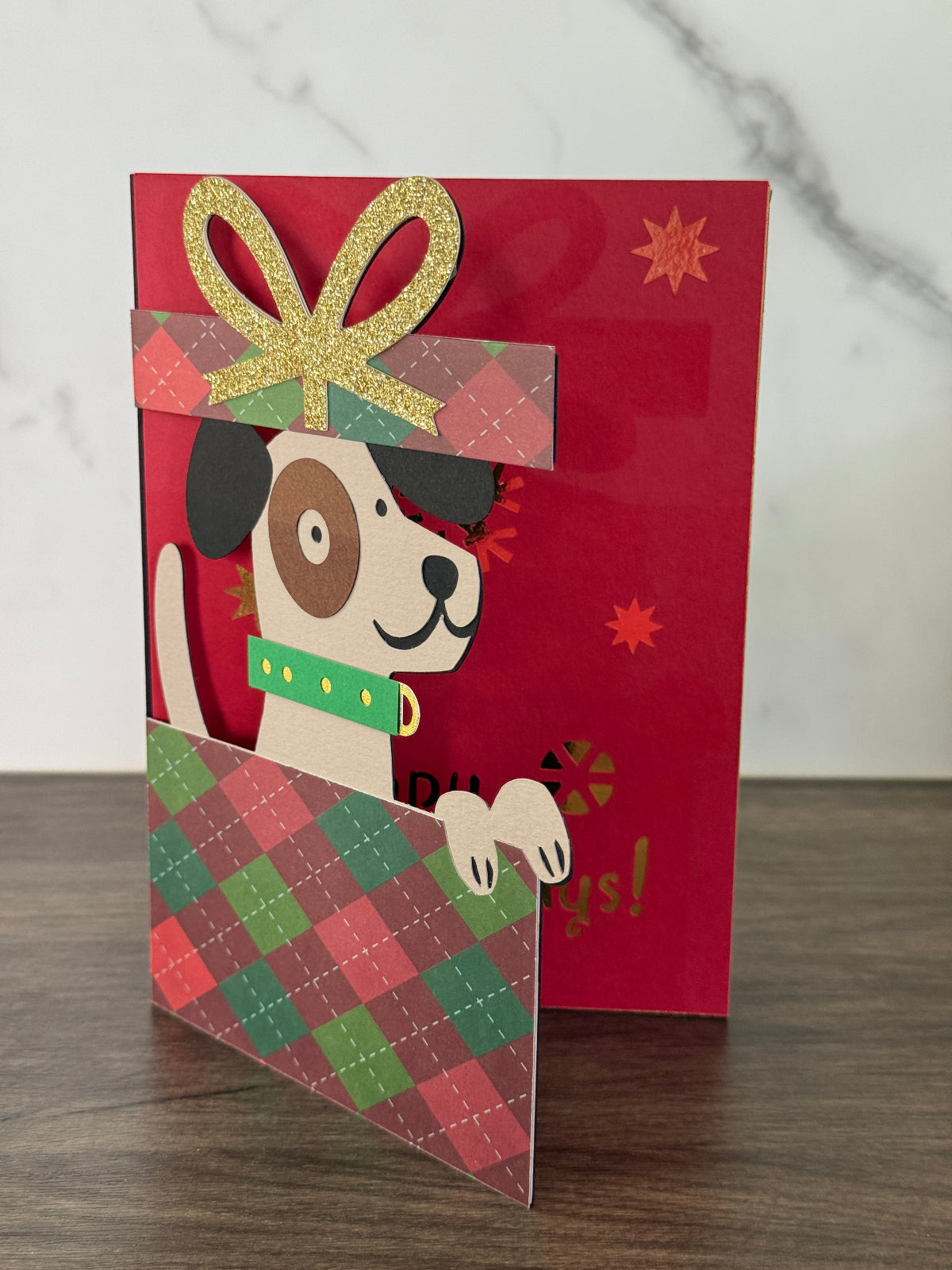 🎁🐶 Special Surprise🎄✨