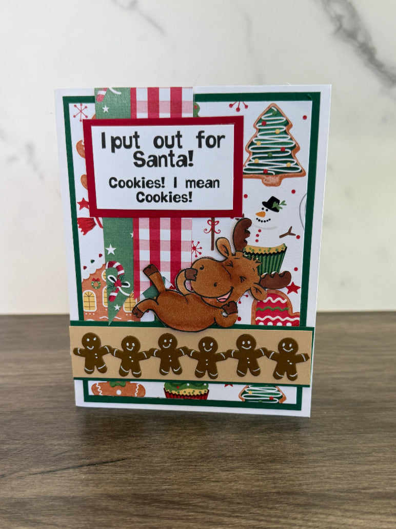 🍪🎅 “I put out for Santa!” 🦌😂