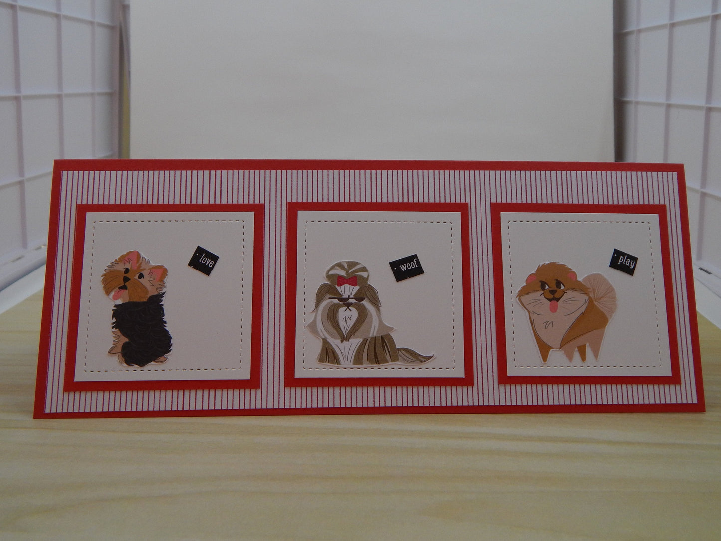 Dog Lovers will love this!