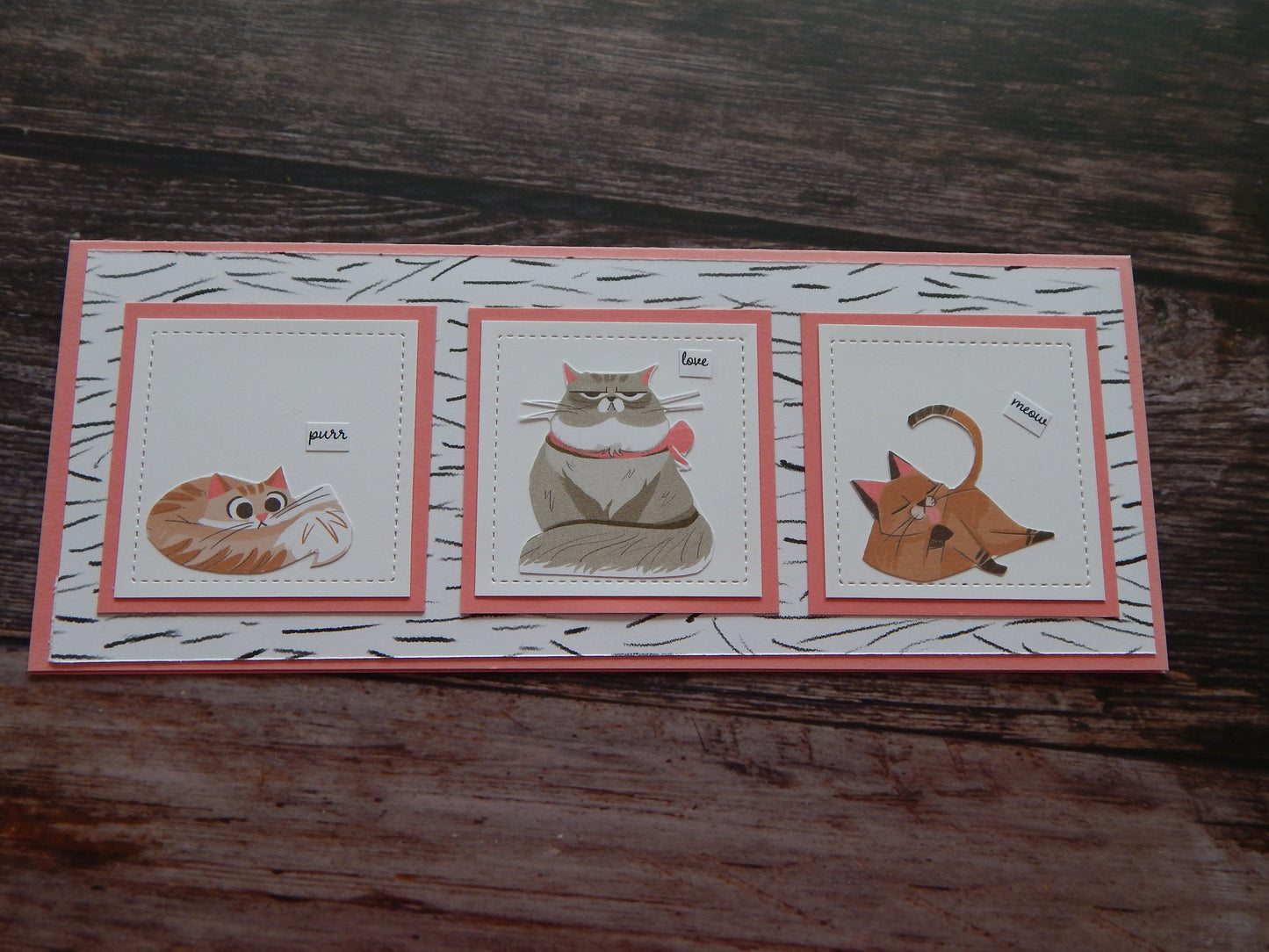 Cat Lovers!