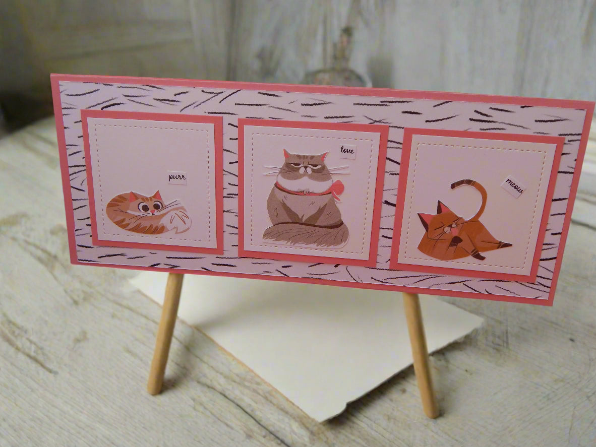Cat Lovers!