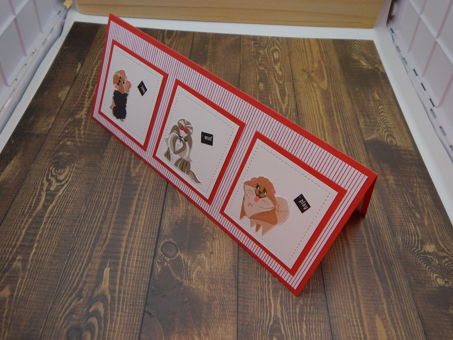 Dog Lovers will love this!