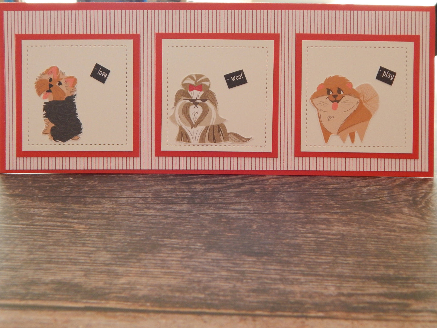 Dog Lovers will love this!