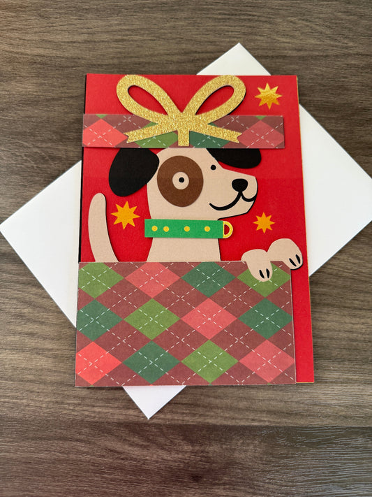🎁🐶 Special Surprise🎄✨