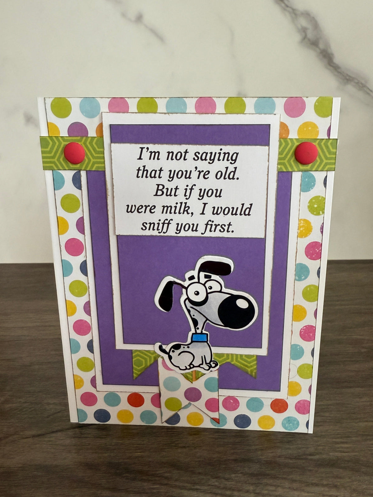 🐾😂 "Sniffing out another birthday!" 🎉🐶