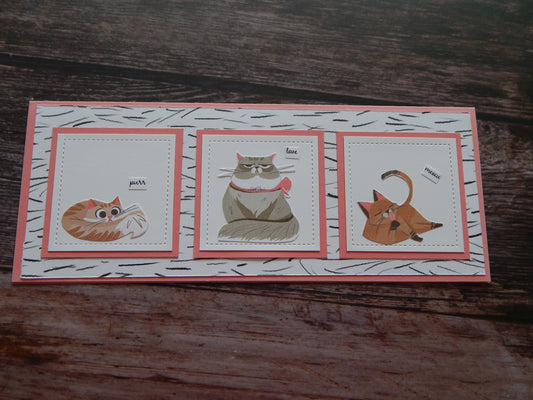 Cat Lovers!