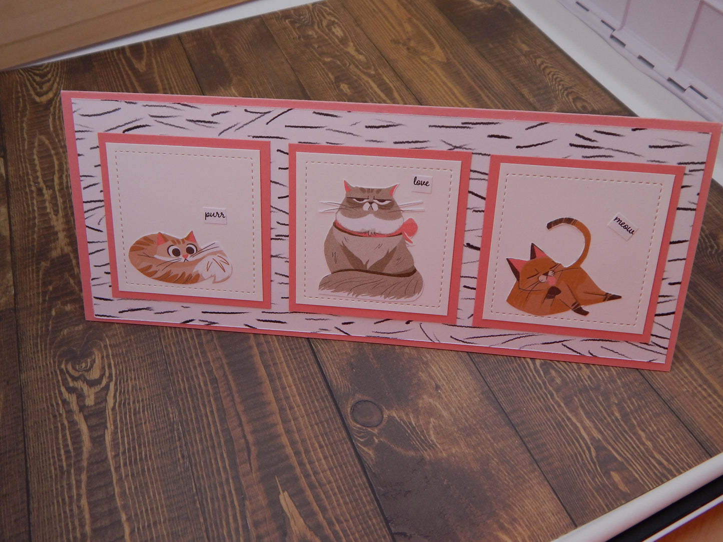 Cat Lovers!