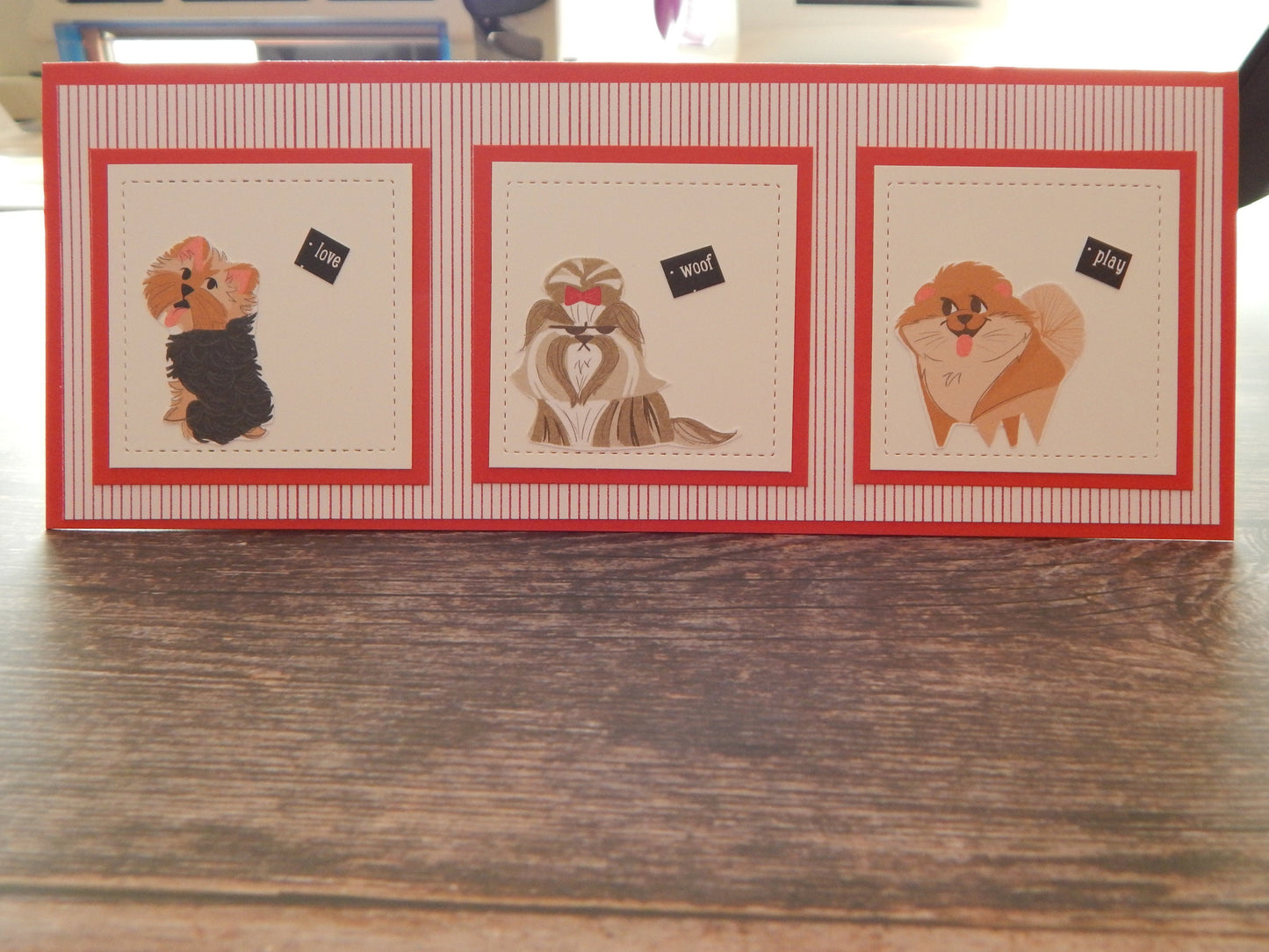 Dog Lovers will love this!